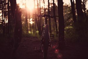 Bike Paths and Trails in Fairfax, VA - Jim McKay Chevrolet