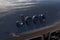 2023 Jeep Grand Cherokee L Summit Reserve