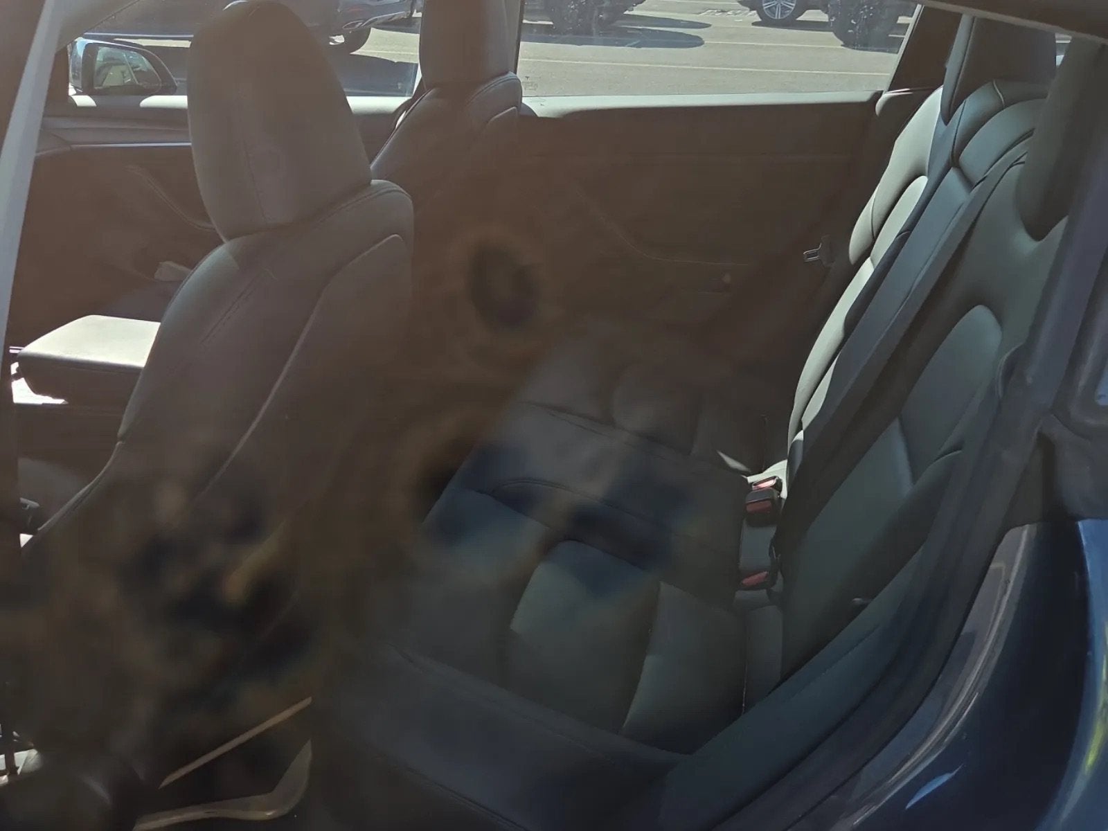 2023 Tesla Model 3 4DR RWD