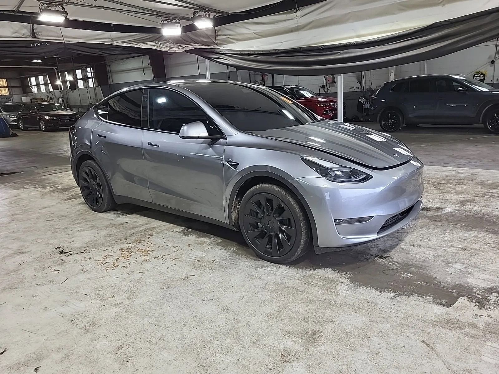 2025 Tesla Model Y Long Range